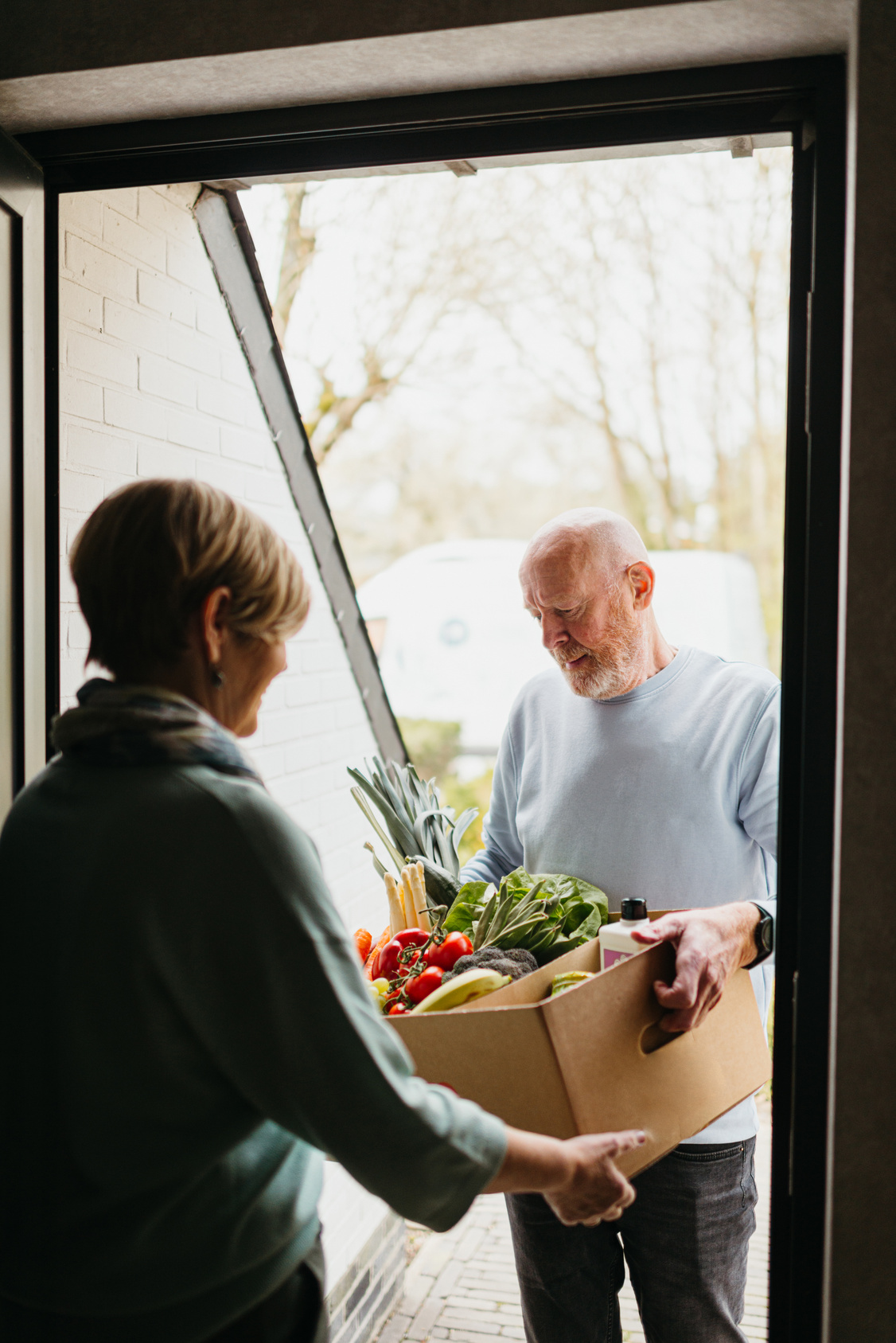 Professional food delivery at senior home